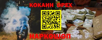 шишки Кандалакша