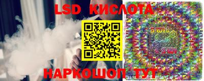 шишки Кандалакша