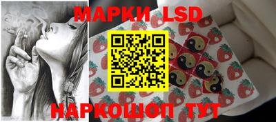 шишки Кандалакша