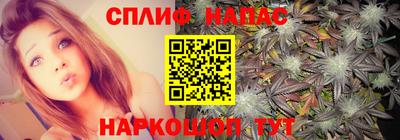 ECSTASY Канаш
