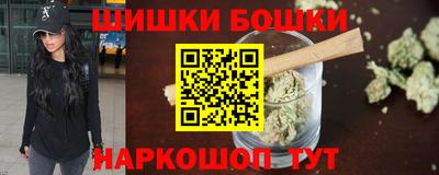 шишки Кандалакша