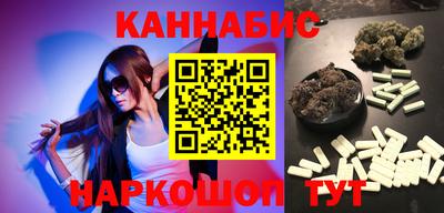 шишки Кандалакша