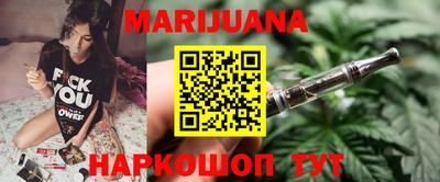 шишки Кандалакша