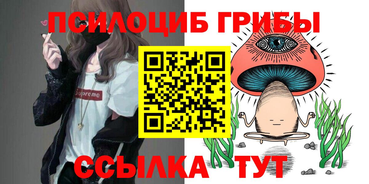 Лабытнанги  Галлюциногенные грибы Cubensis  Вход с VPN 